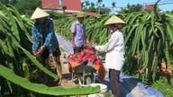 គាំទ្រដល់កសិករក្នុងដំណើររបស់ពួកគេឆ្ពោះទៅរកភាពរុងរឿង។