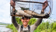 Folk i Mekongdeltaet griner hjerteligt, fordi de fanger en masse ferskvandsfisk ved at sætte ruser og trække vod ud i oversvømmelsessæsonen.