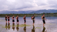 Turist sezonunda Gia Lai Platosu