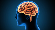 Конкуруюча компанія Neuralink отримала дозвіл на проведення випробувань імплантів мозку на людях.