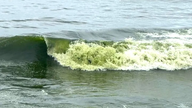 A cor verde da água do mar no bairro de Vung Tau é um fenômeno natural.