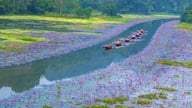 Ninh Binh organiserer programmet "Pink Tam Coc 2025 - En kærlighedssang om efteråret"