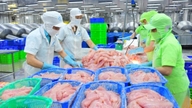 Dong Thap está construindo um ecossistema agrícola moderno.