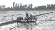 An Giang xây dựng khung lịch thời vụ sản xuất các vụ lúa trong năm