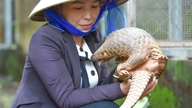 การช่วยเหลือสัตว์หายากในอุทยานแห่งชาติอูมินห์เถือง