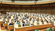 A Assembleia Nacional aprovou quatro leis.