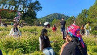 Ha Giang i november: Skyjagt og fare vild blandt boghvedeblomster.