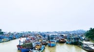 Phuoc Loc grænsevagtstation har beordret alle skibe til at indstille afgange som reaktion på tyfon Koto (tyfon nr. 15).