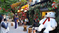 Hanoi: Golongan muda berpusu-pusu ke lorong kecil sepanjang 100 meter untuk mengambil gambar semasa musim Krismas.
