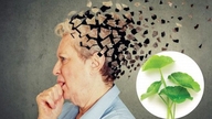 6 benefici per la salute della centella asiatica (Gotu Kola)