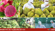 De export van groenten en fruit bereikte een recordhoogte van bijna 8 miljard dollar.