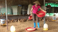 Quang Ninh: Mange produktionskoblingsmodeller viser sig effektive.
