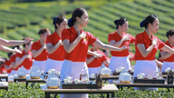 1,111 'tea ladies' perform a tea offering ceremony on a tea hill, nominated for a Vietnam Record.