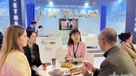 Ho Chi Minh Citys turisme topper for internationale besøgende i slutningen af ​​2025 og begyndelsen af ​​2026.