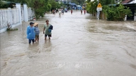 Students in flood-affected areas of Lam Dong province return to school.