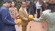 Festival des fruits de Bac Ninh 2025 : 223 tonnes d’oranges et de pomelos consommées.
