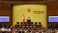 Quốc hội thông qua các luật về thi hành án hình sự và tạm giữ, tạm giam