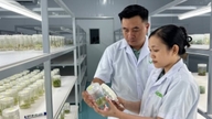 Vinh Long aktivně zavádí technologie a prochází digitální transformací v zemědělství.