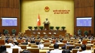 第15期国民議会第10回会期決議