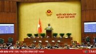 Pilottestning af specifikke mekanismer og politikker til implementering af storskalaprojekter i Hanoi.