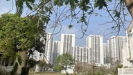 Os jovens continuam determinados a comprar casas, apesar dos preços recordes.