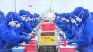 Vietnams fiskeindustri sætter en rekord på 11,3 milliarder dollars og er med sikkerhed klar til at ride stormen af ​​i 2026.