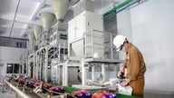 Global trends in chemical industry development and Vietnam's orientation.