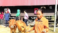 Menyediakan sokongan praktikal untuk mata pencarian etnik minoriti di kawasan pergunungan.