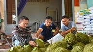 A tudomány és a technológia alkalmazása a termelésben – egyfajta „előny” a mezőgazdasági termékek értékének növelésére.