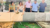 Hai Phong aumenta a produção de frutos do mar.