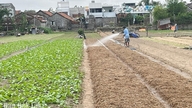 Het verstrekken van zaden en vee helpt mensen de productie na natuurrampen te herstellen.