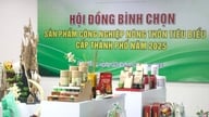 Підвищення конкурентоспроможності сільської промислової продукції в Данангу.