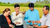 Ca Mau : Le chiffre d'affaires des exportations de produits de la mer atteint 2,5 milliards de dollars américains.