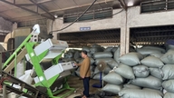 Xã Đường Hoa: Phát huy thế mạnh cây chè