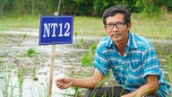 Con discrezione, ha contribuito con decine di varietà di riso al delta del Mekong.