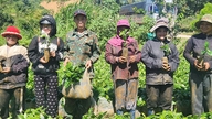 Mang Ri Kommune (Quang Ngai): Skaber bæredygtige levebrød for folk i højlandet.
