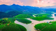 Đảo chè Cầu Cau - Viên ngọc xanh bao giờ phát sáng?