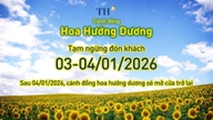 Le champ de tournesols sera temporairement fermé les 3 et 4 janvier 2026.