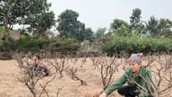 Спеціальні новини в газеті Hanoi Moi, 23 грудня 2025 року.