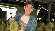 Il est urgent de renforcer la gestion des zones de culture du durian dans le « pays du durian » du delta du Mékong.