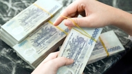 Een aantal "grote spelers" zoals Sabeco en Dam Sen Water Park staan ​​op het punt geld uit te keren aan aandeelhouders.