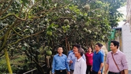 Landdistriktsudvikling skaber et nyt fundament for Vinh Long til at skabe gennembrud.