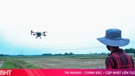 Kenderaan udara tanpa pemandu (dron) untuk menyembur racun perosak – "pembantu" di ladang Ha Tinh.