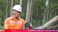Campagne gestart om hoogspanningsleidingcorridors in Ky Anh vrij te maken.