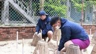Młody mężczyzna z Tay Ninh i jego podróż, której celem jest „położna” dla żółwi morskich.