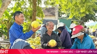 Un marché unique à Ha Tinh ne vend que « les meilleurs fruits ».