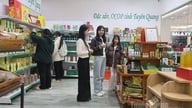 محصولات کشاورزی برای عید تت (سال نو قمری) آماده هستند.