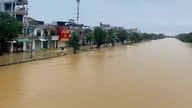 Chủ động ứng phó với không khí lạnh, ngập úng, rét đậm, rét hại