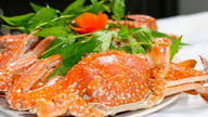 Les États-Unis ont interdit les importations de 12 groupes d'espèces de fruits de mer vietnamiennes : l'interdiction sera levée progressivement, en commençant par les crabes.