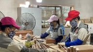 Die Holzexporte blieben vom Steuerschock zu Jahresbeginn verschont.